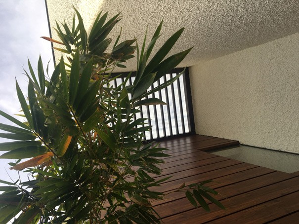 tycoon-Exterior-Trellis